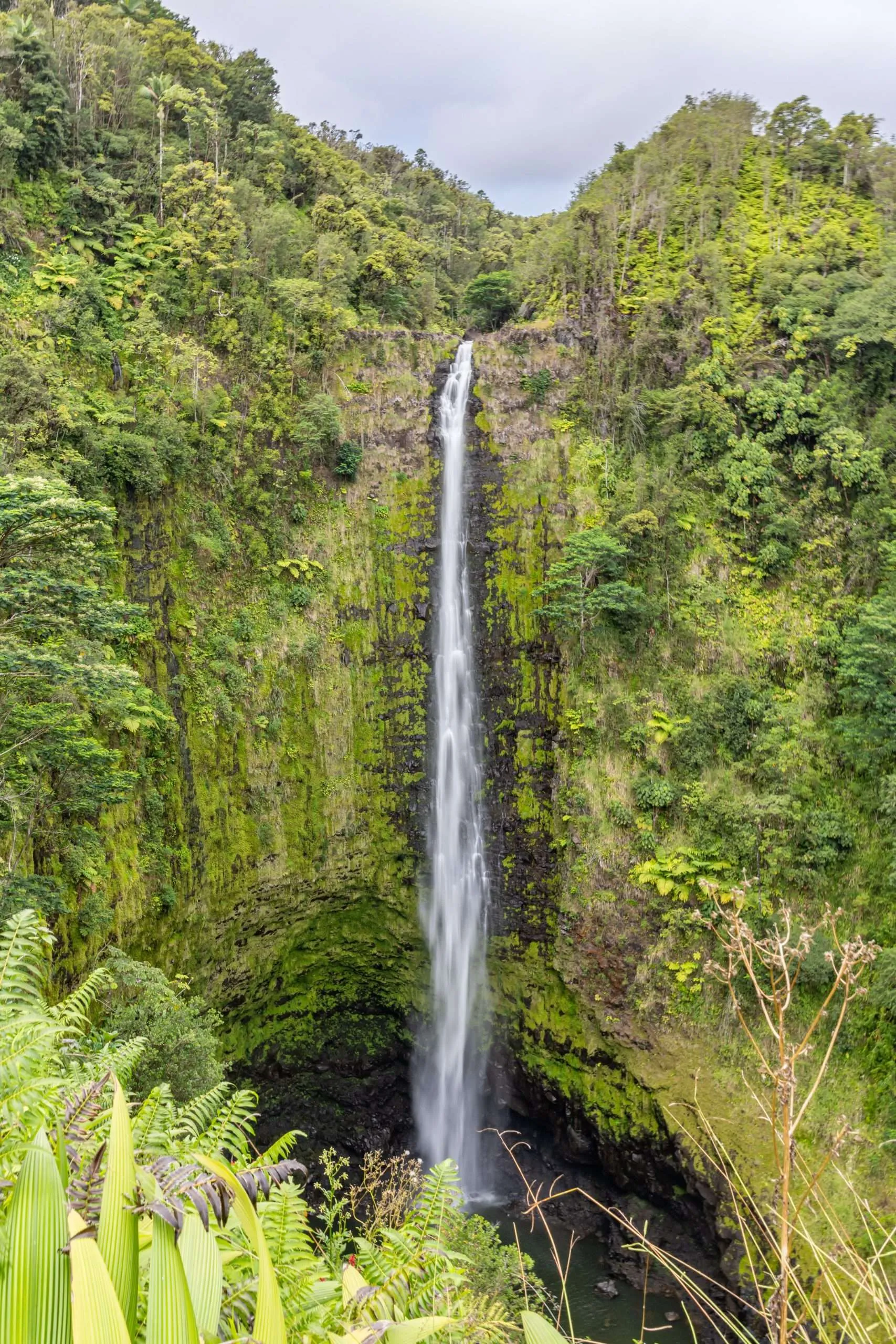 Akaka Falls Hawaii